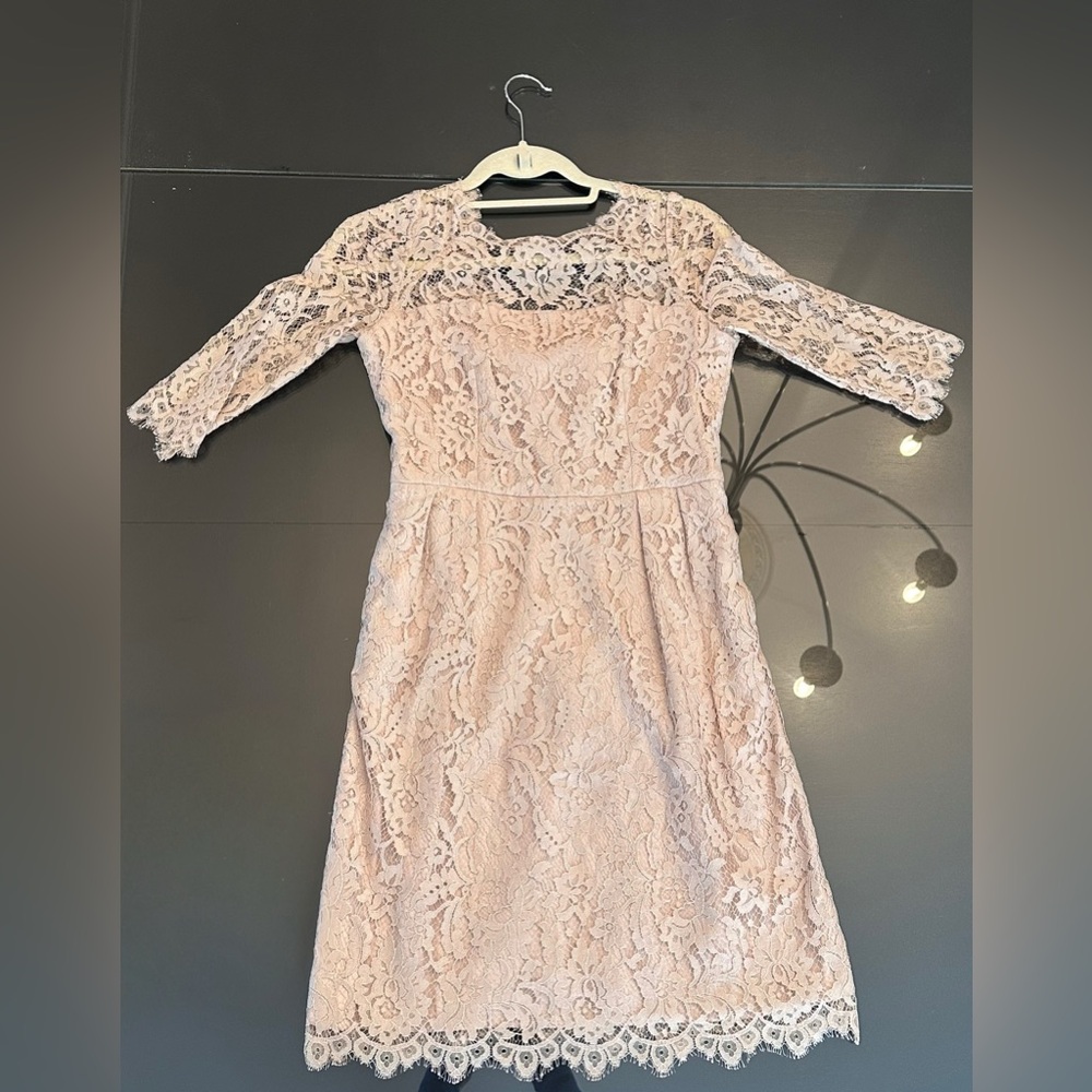 An Original Milly Blush Lace Overlay Dress